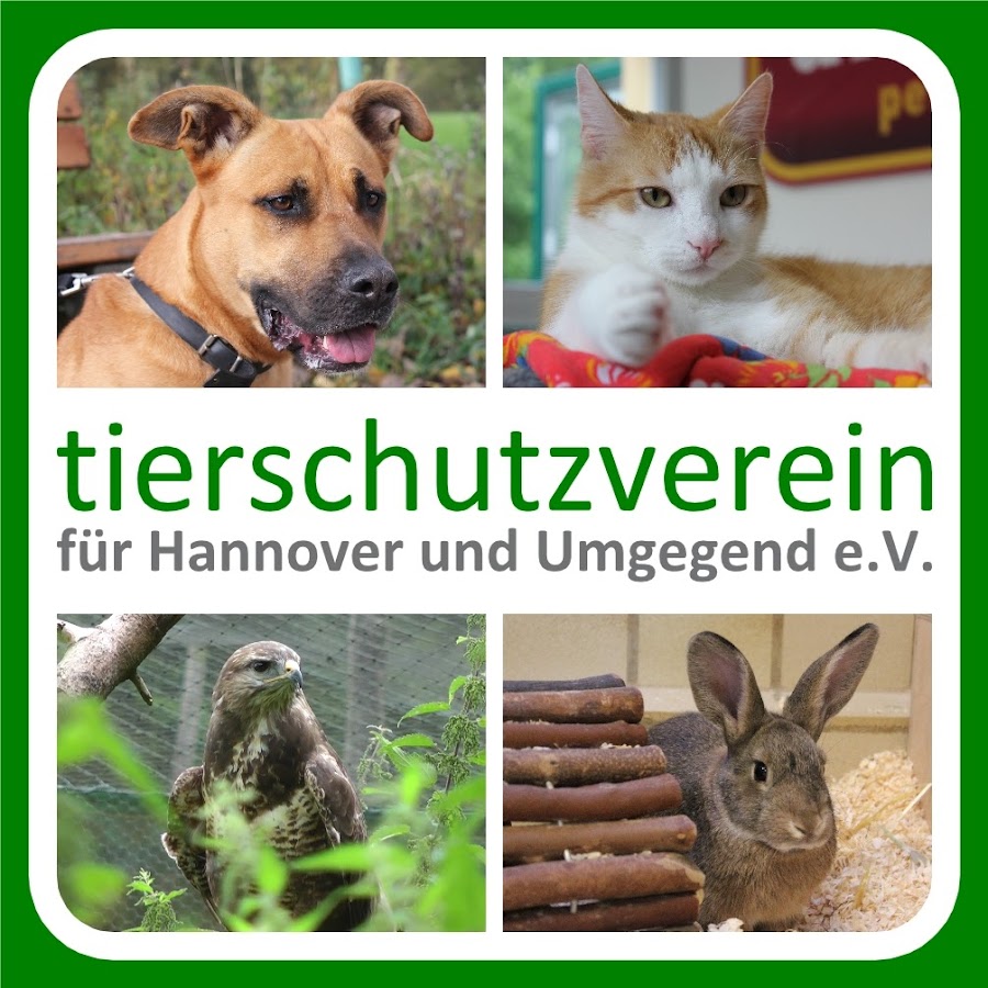 Tierschutzverein Hannover Avatar de canal de YouTube