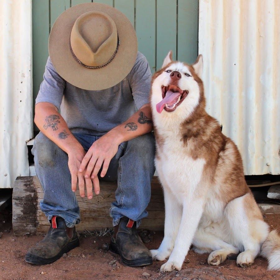 Outback Dog Training Avatar canale YouTube 