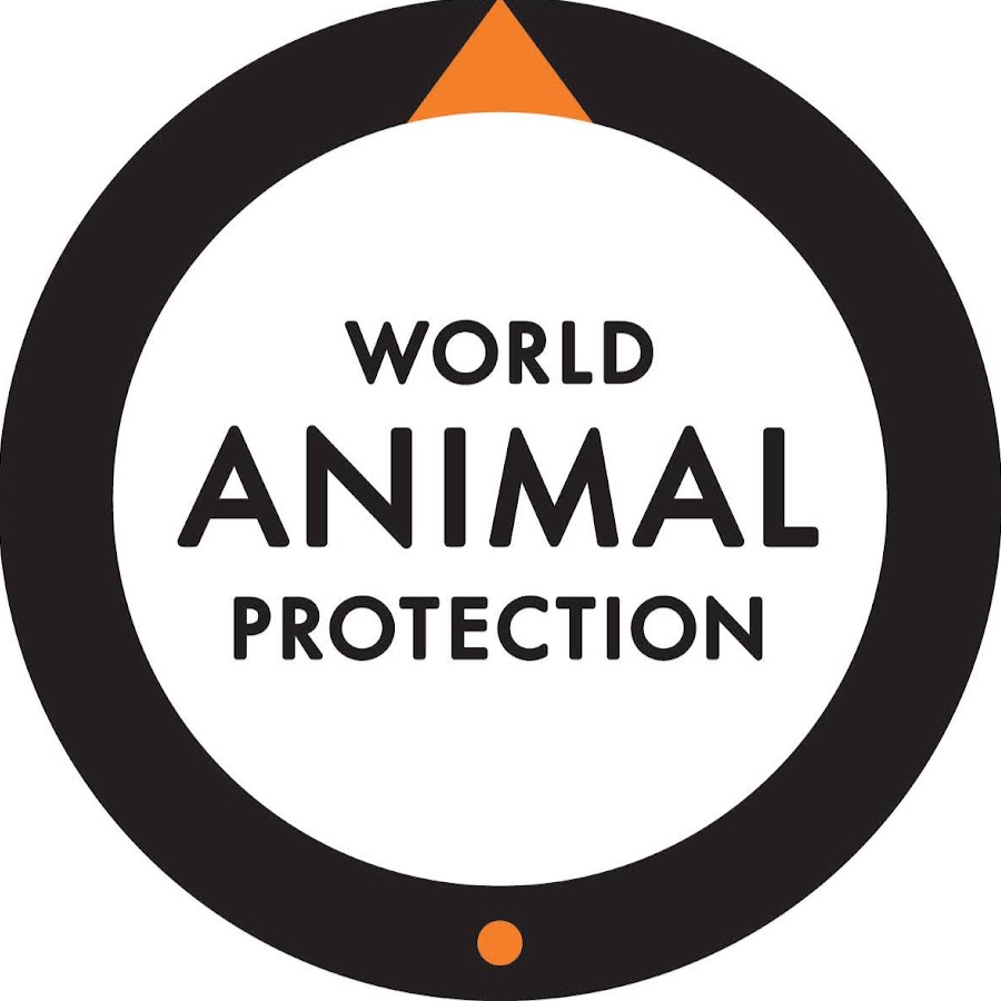 World Animal Protection USA YouTube channel avatar