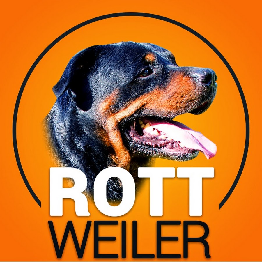 RottweilerSupplies Awatar kanału YouTube