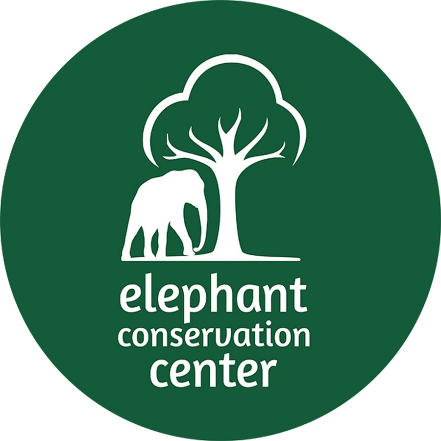 Elephant Conservation Center, Sayaboury, Laos यूट्यूब चैनल अवतार