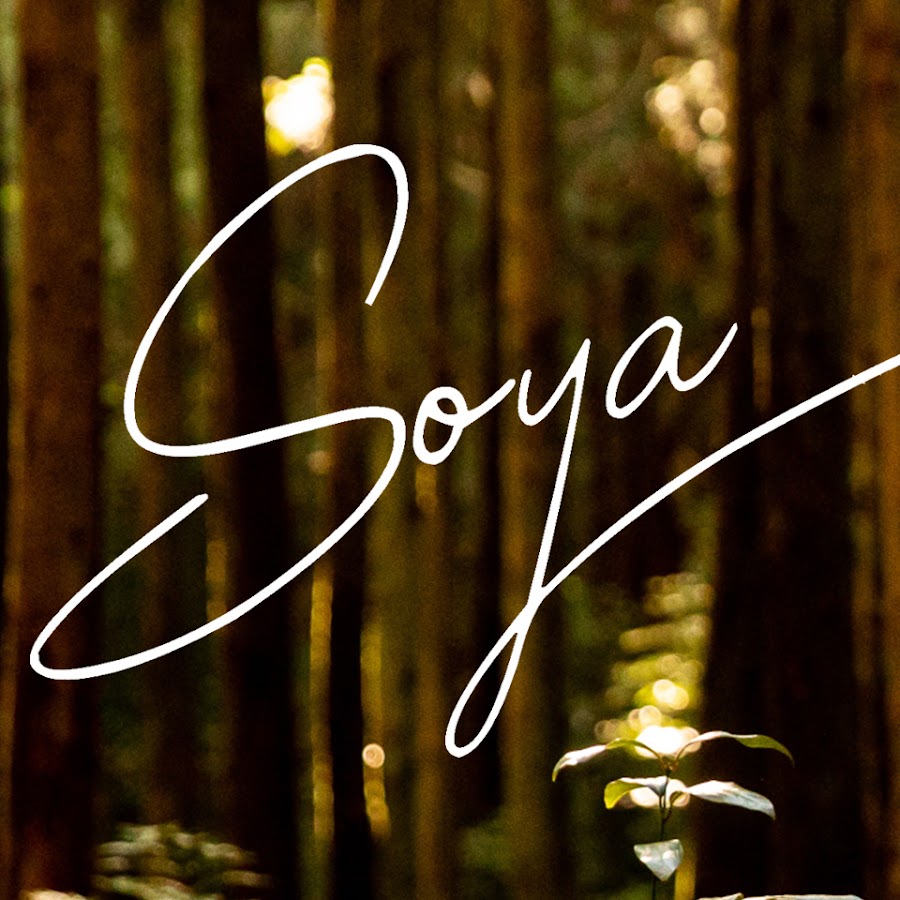 SOYA Official YouTube channel avatar