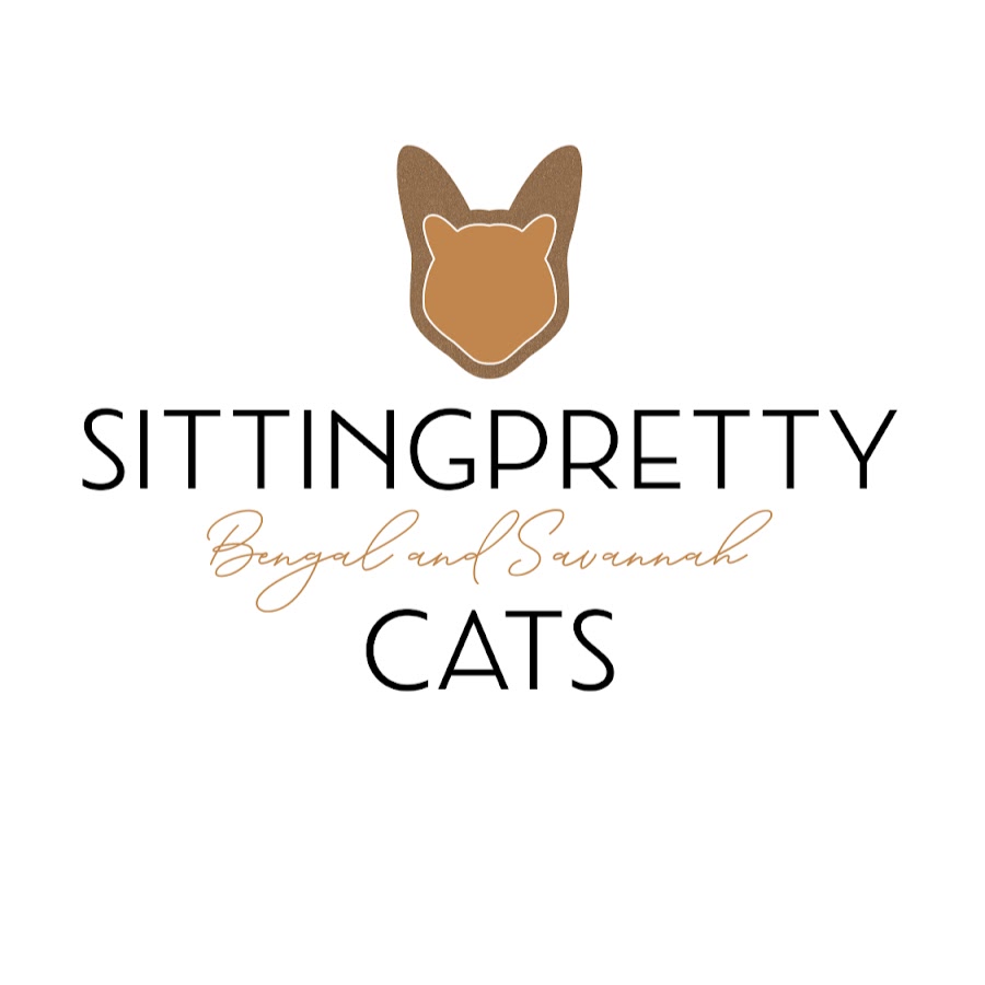 Sittingpretty Cats Awatar kanału YouTube