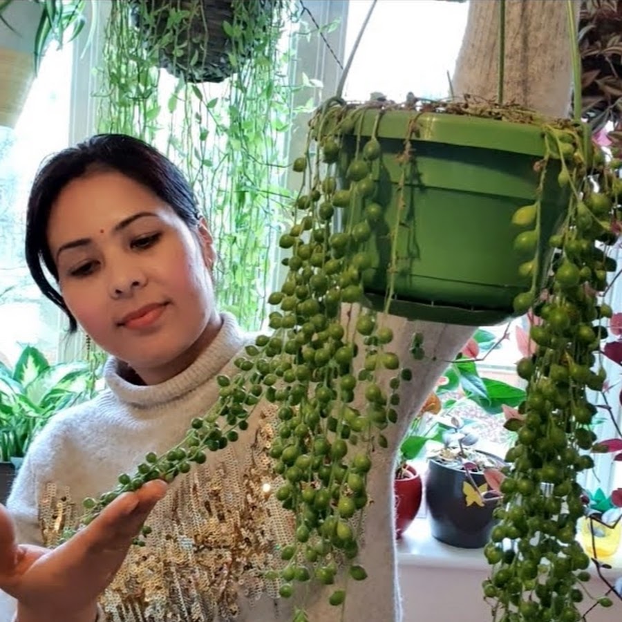 Khushi's Balcony Garden