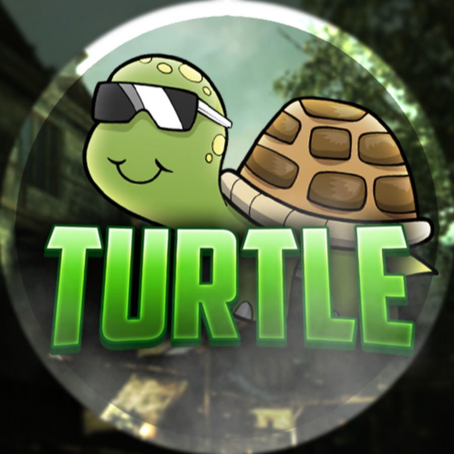 Turtle ãƒ„