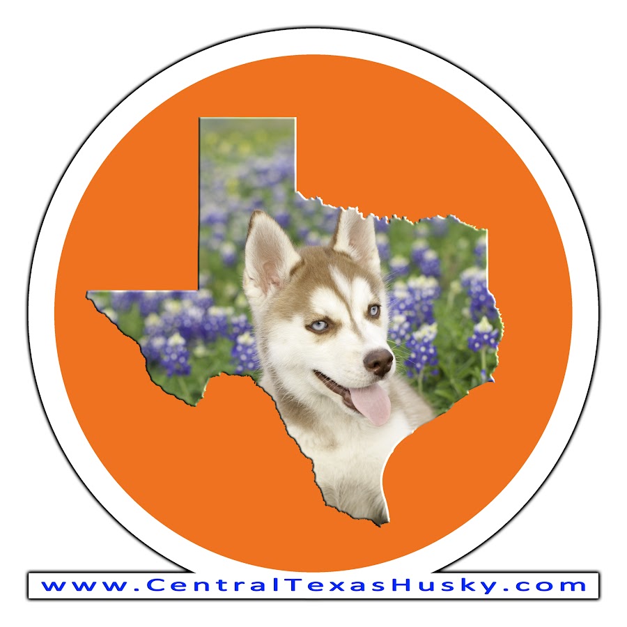 Central Texas Husky YouTube kanalı avatarı