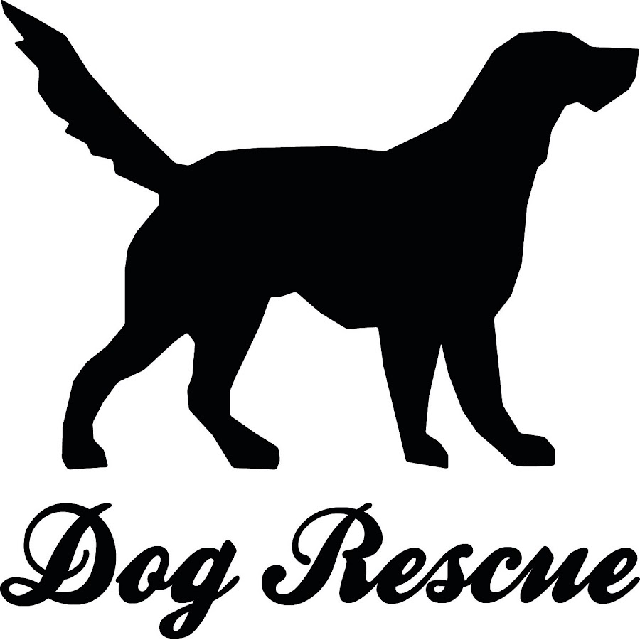 Dog Rescue Carcassonne Avatar de canal de YouTube