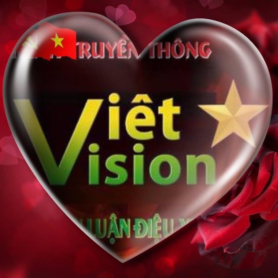 Viet vision YouTube channel avatar