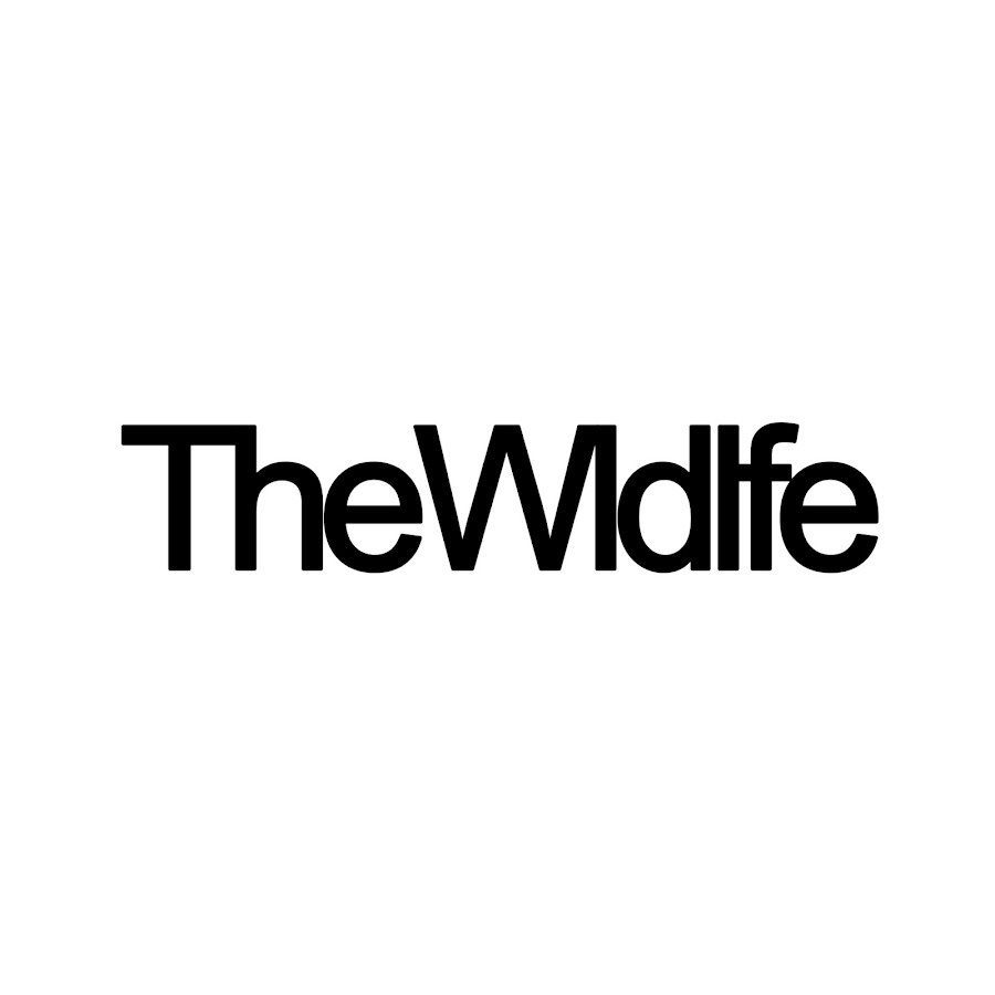 THE WLDLFE YouTube 频道头像