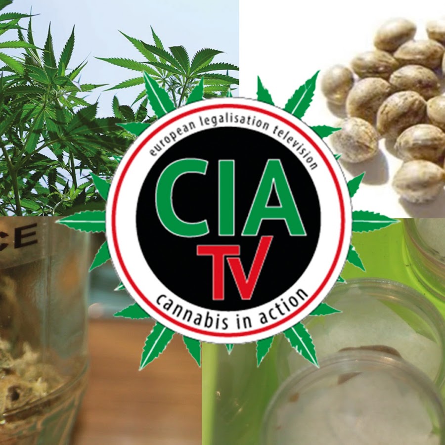 CIA-TV Avatar de canal de YouTube