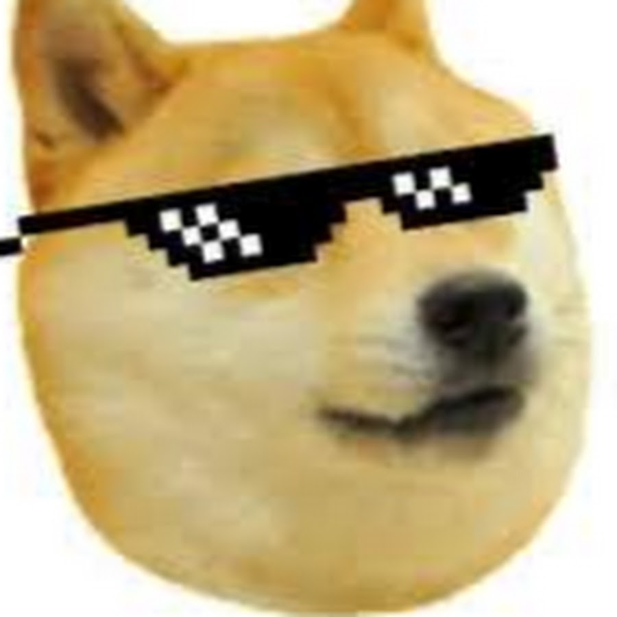 DOGE MEMES YouTube kanalı avatarı