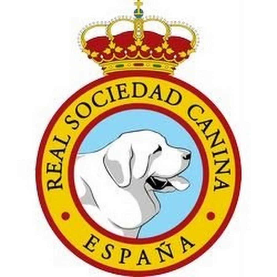 Real Sociedad Canina de EspaÃ±a YouTube-Kanal-Avatar