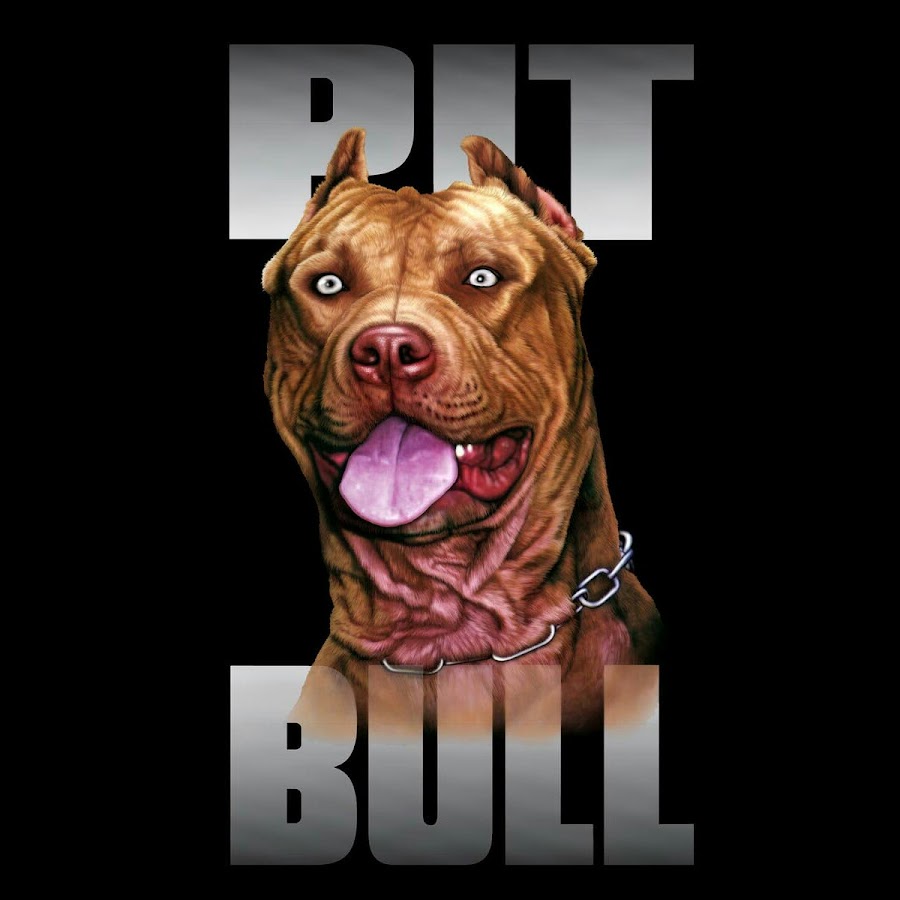 Shonki Pitbull De YouTube channel avatar