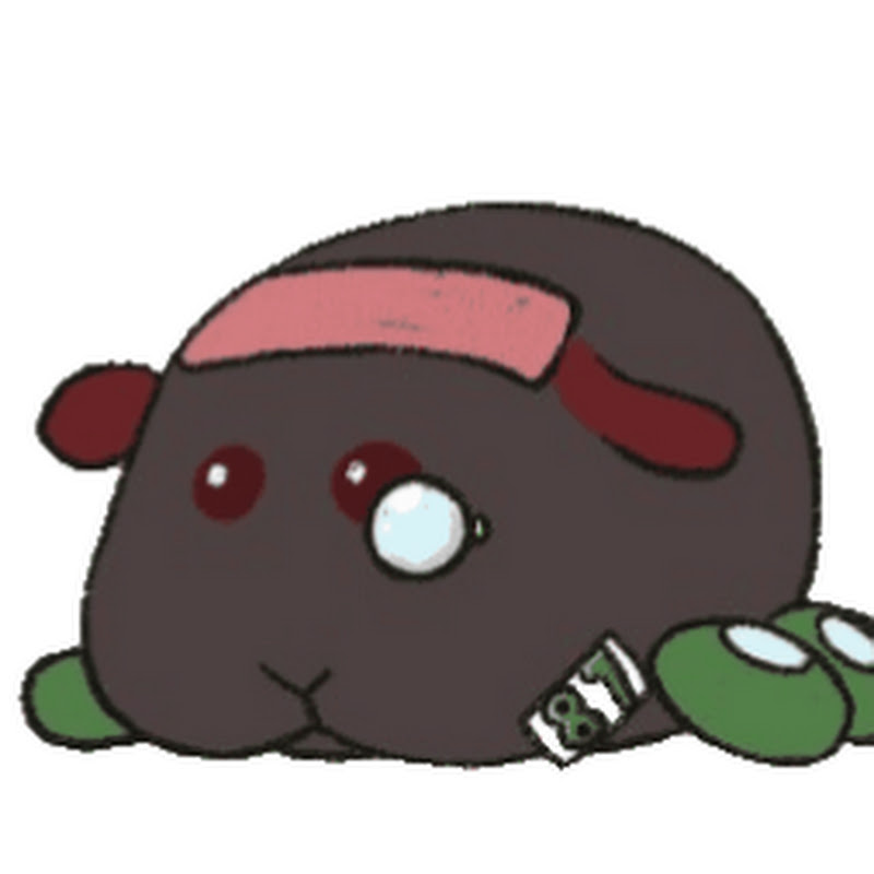 秀康二號 - 網紅的藏寶箱 