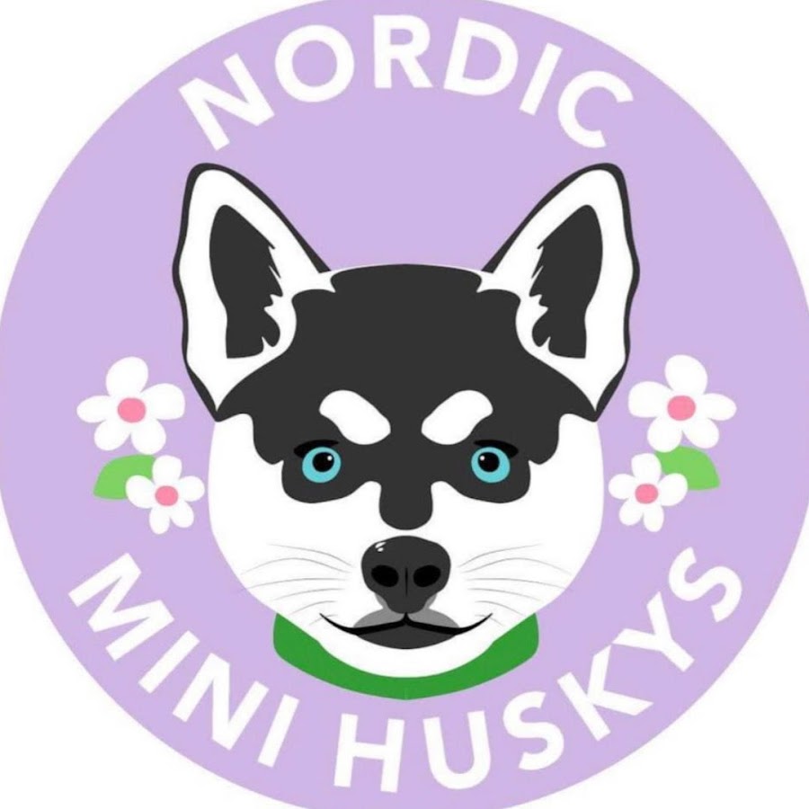 nordic minihuskys