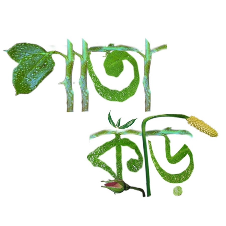 Pata Kuri Tv Youtube