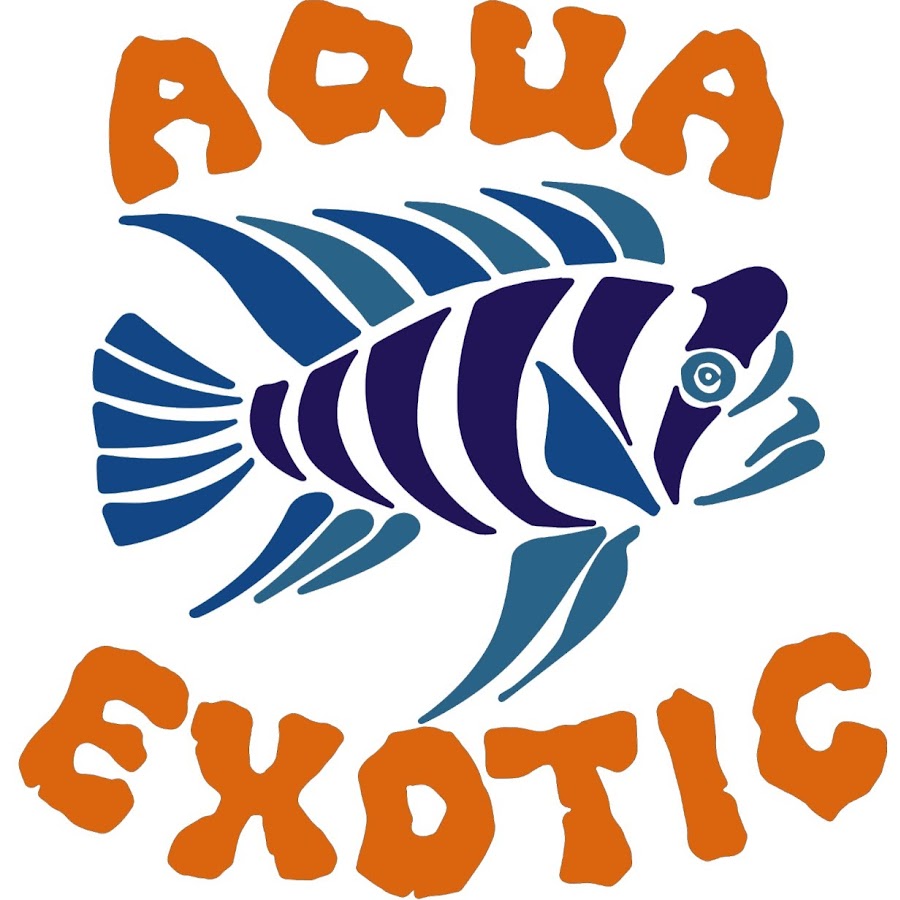 Aqua Exotic Avatar de chaîne YouTube