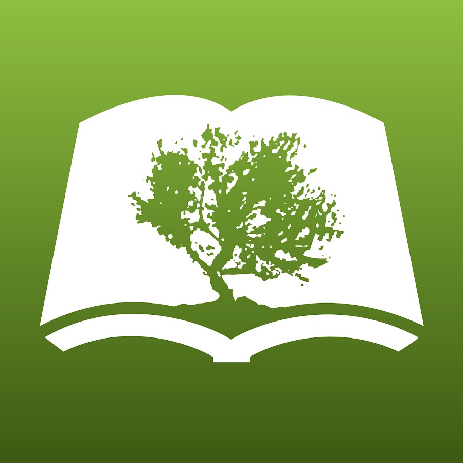 Olive Tree Bible رمز قناة اليوتيوب