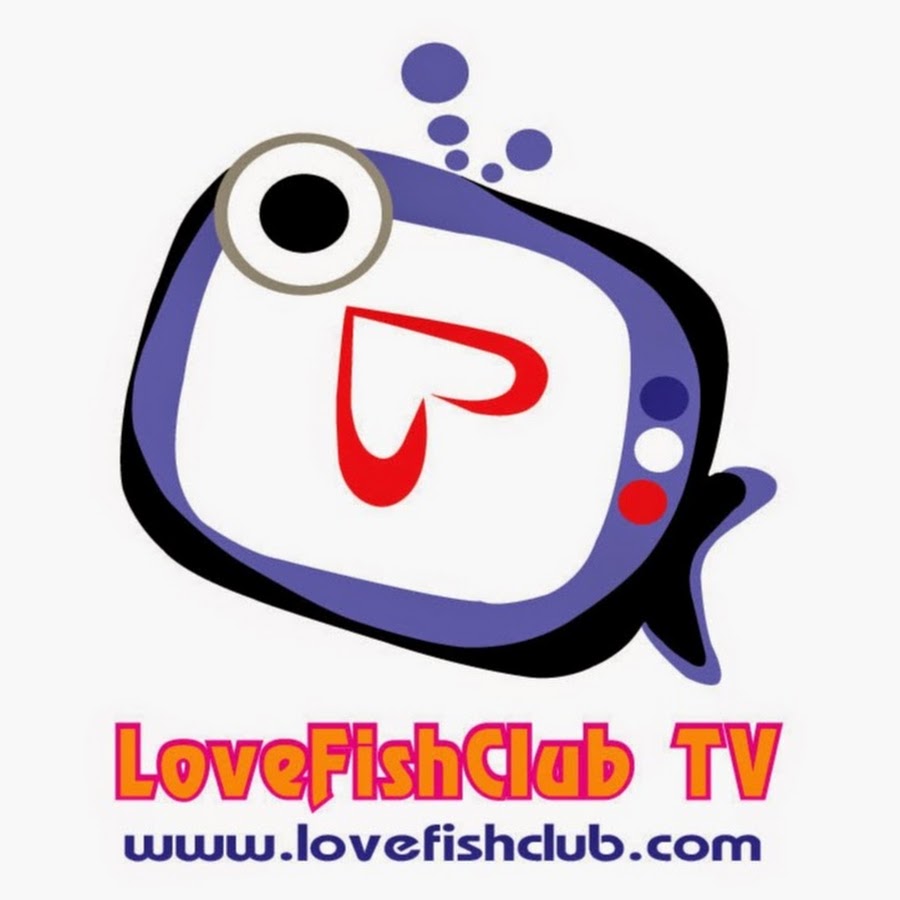 LoveFishClub TV YouTube channel avatar