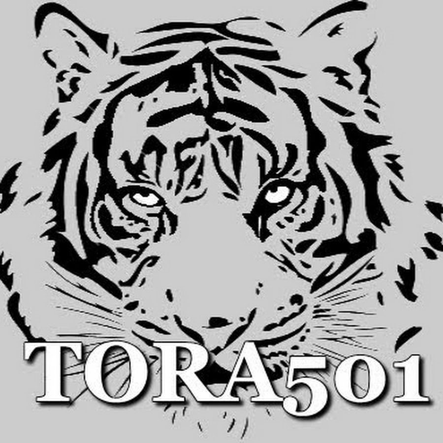 tora501 YouTube kanalı avatarı