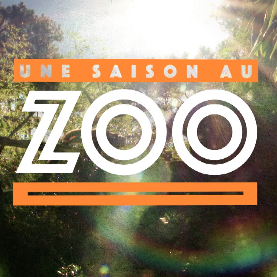 Une Saison au Zoo YouTube channel avatar