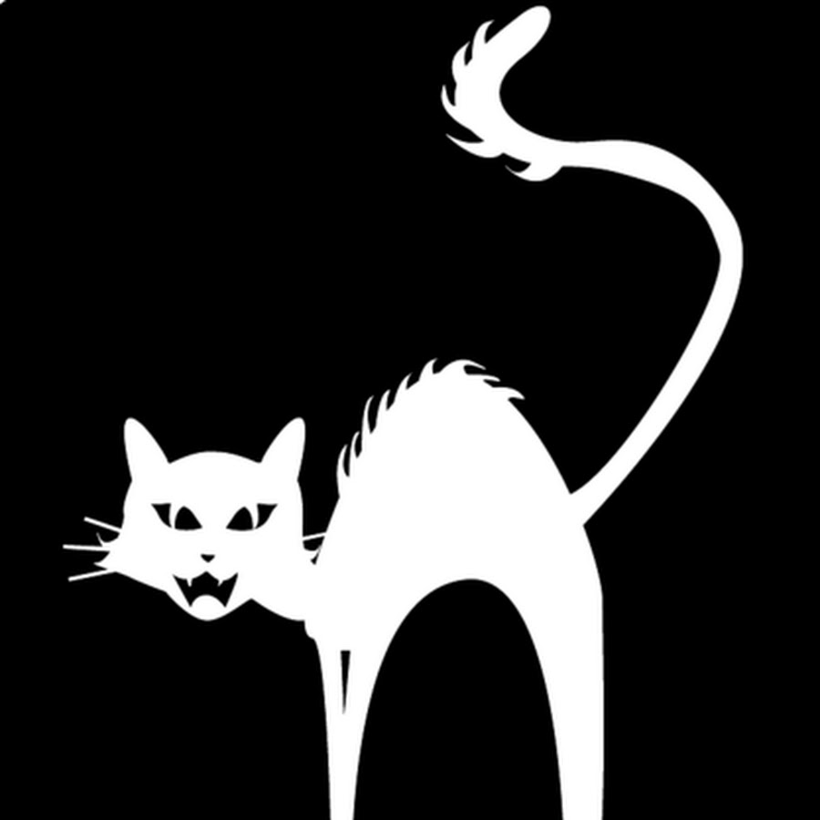 wildsidecats YouTube channel avatar