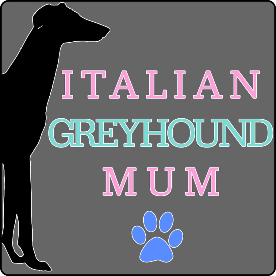 Italian Greyhound Mum