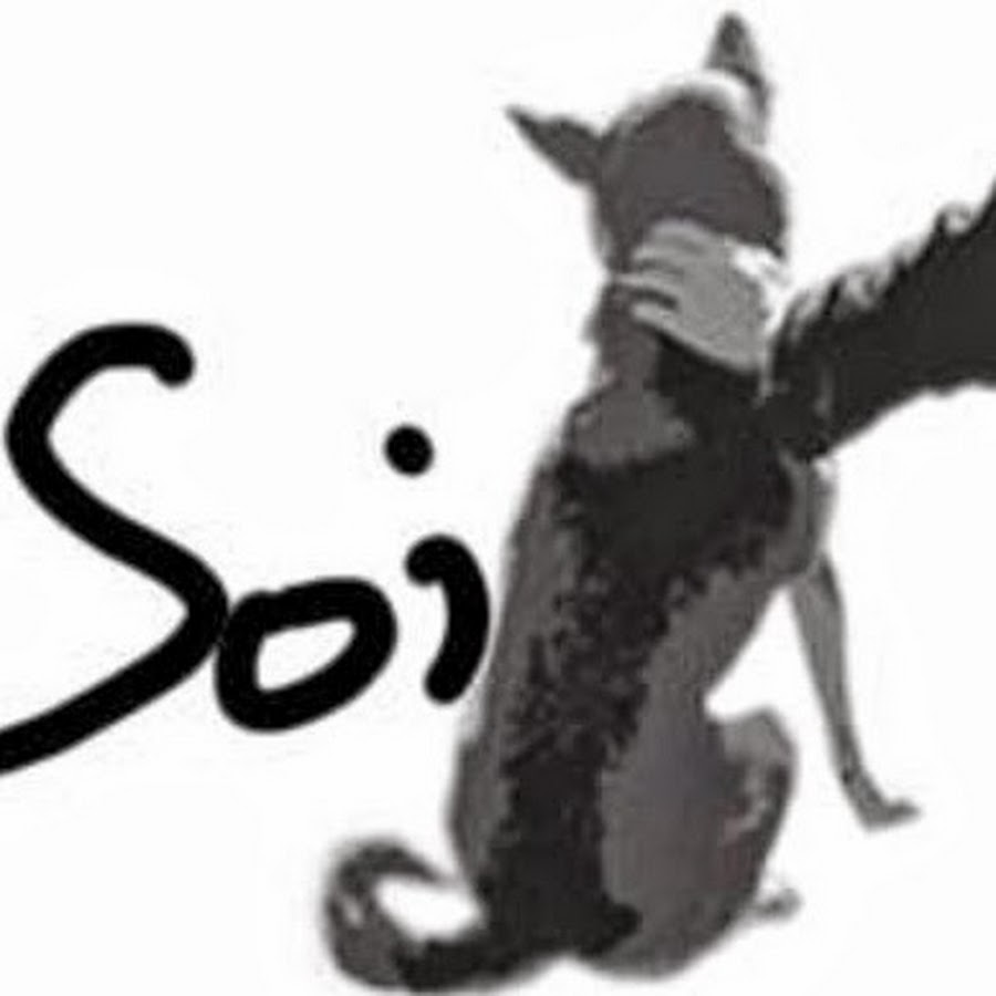 sokhoiTube YouTube channel avatar