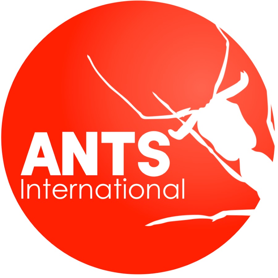 Ants International