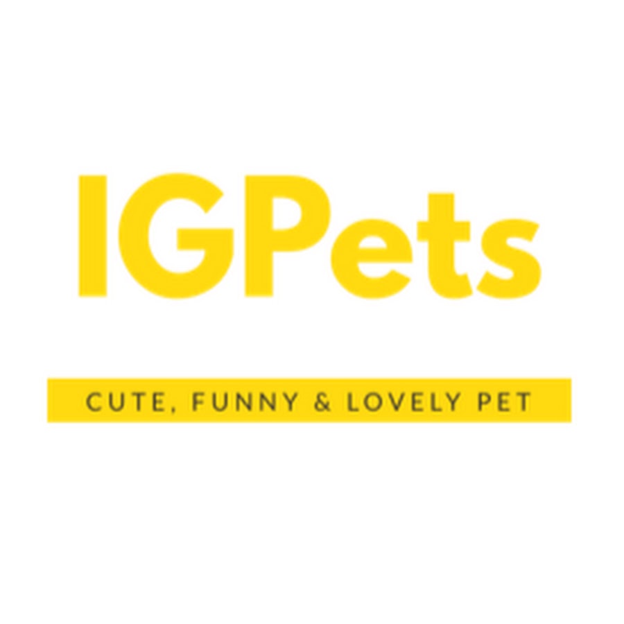 IG Pets Official YouTube channel avatar