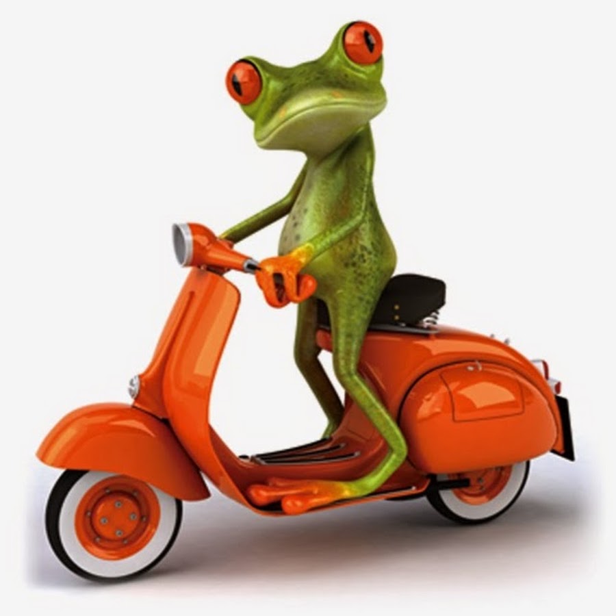 Moto Frogger Avatar de chaîne YouTube