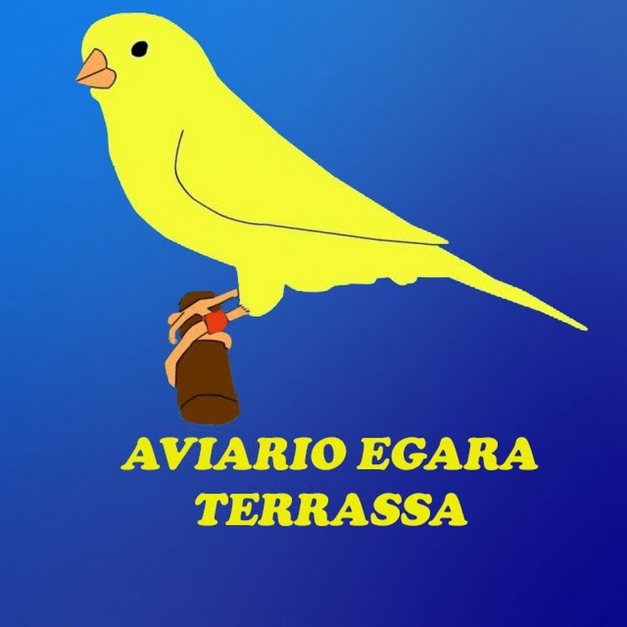 Aviario Egara رمز قناة اليوتيوب