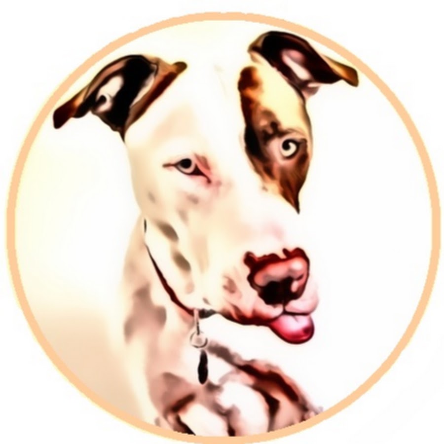 The Dog Nose YouTube channel avatar
