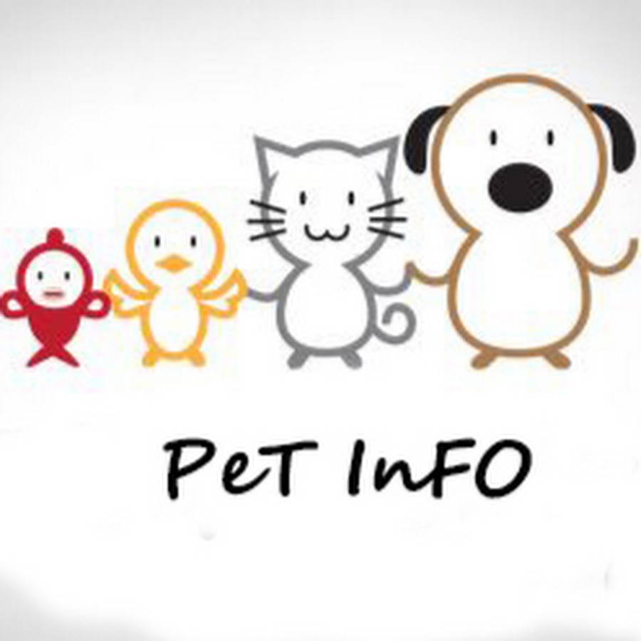 PET INFO YouTube channel avatar