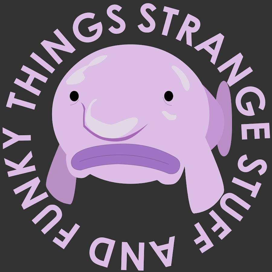Strange Stuff and Funky Things YouTube kanalı avatarı