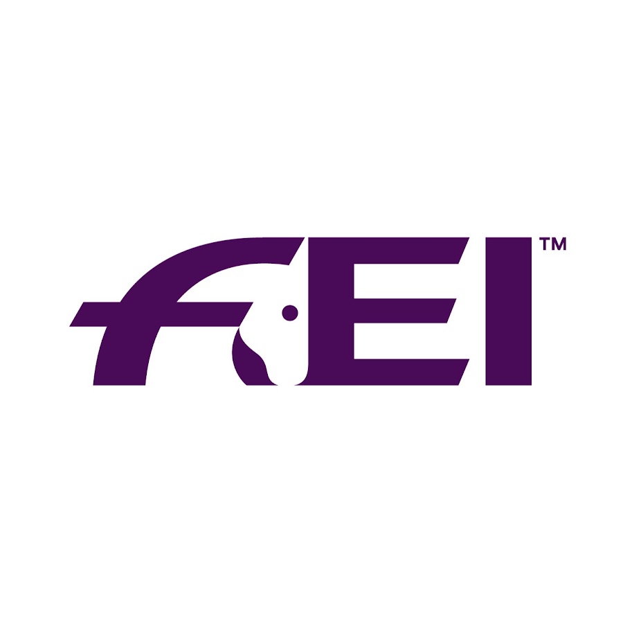 FEI YouTube channel avatar