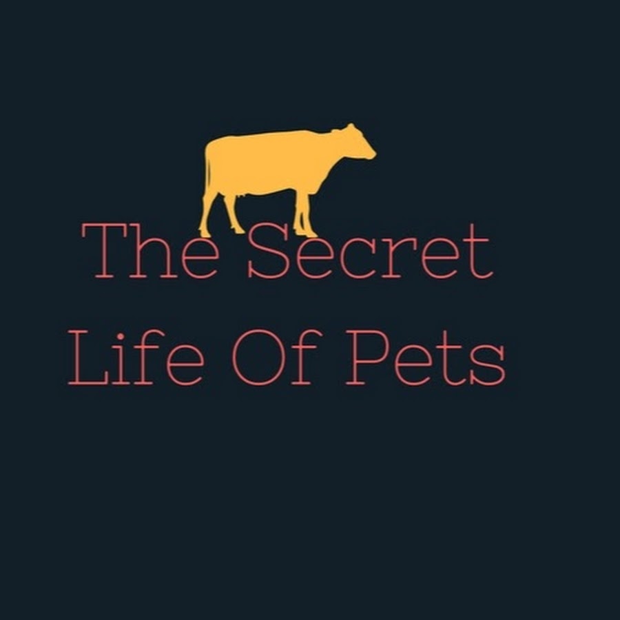 The Secret Life Of Pets ইউটিউব চ্যানেল অ্যাভাটার