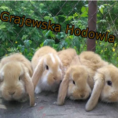 Grajewska Hodowla