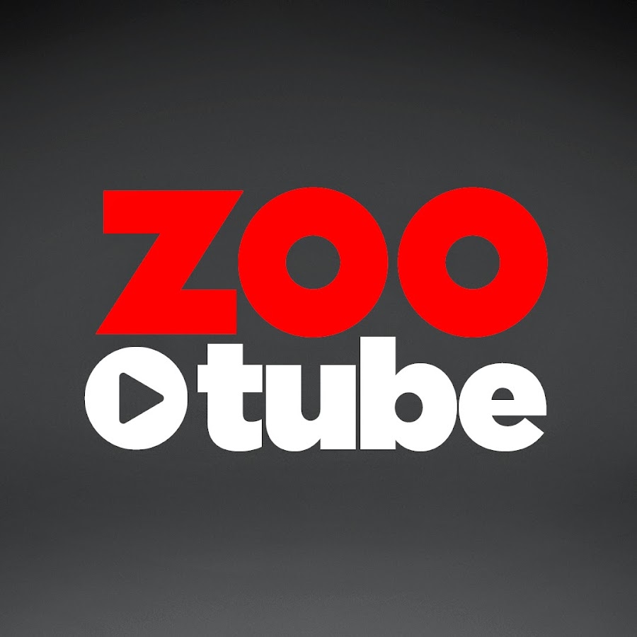 ZOOtube YouTube channel avatar