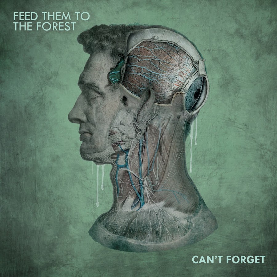 Feed Them To The Forest YouTube channel avatar