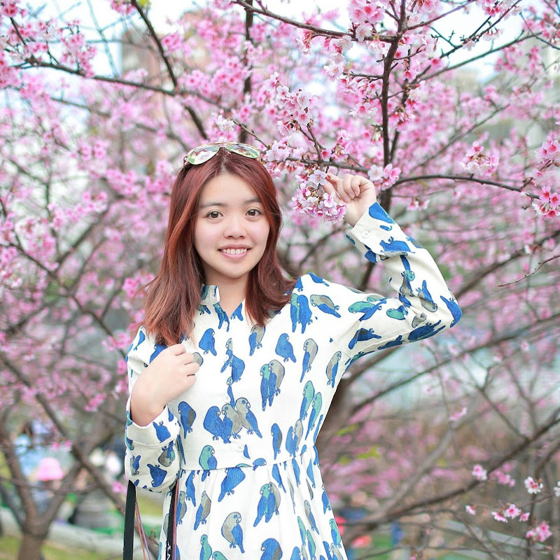 小芝芝 TV - 網紅的藏寶箱 