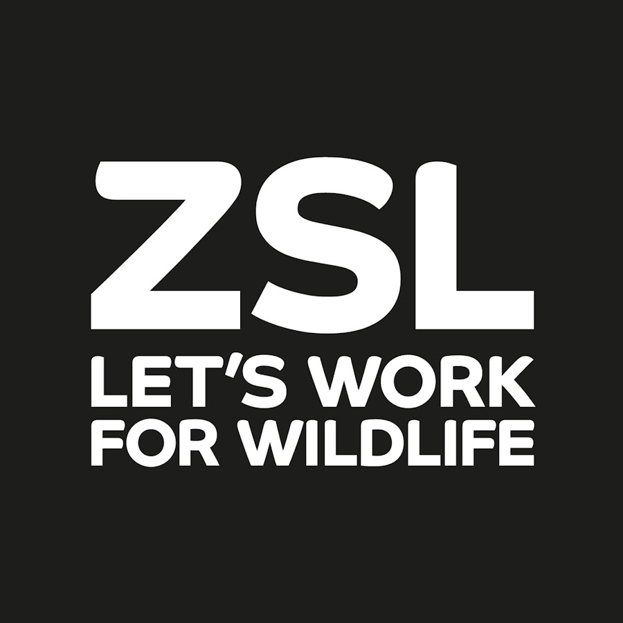ZSL - Zoological Society of London YouTube channel avatar