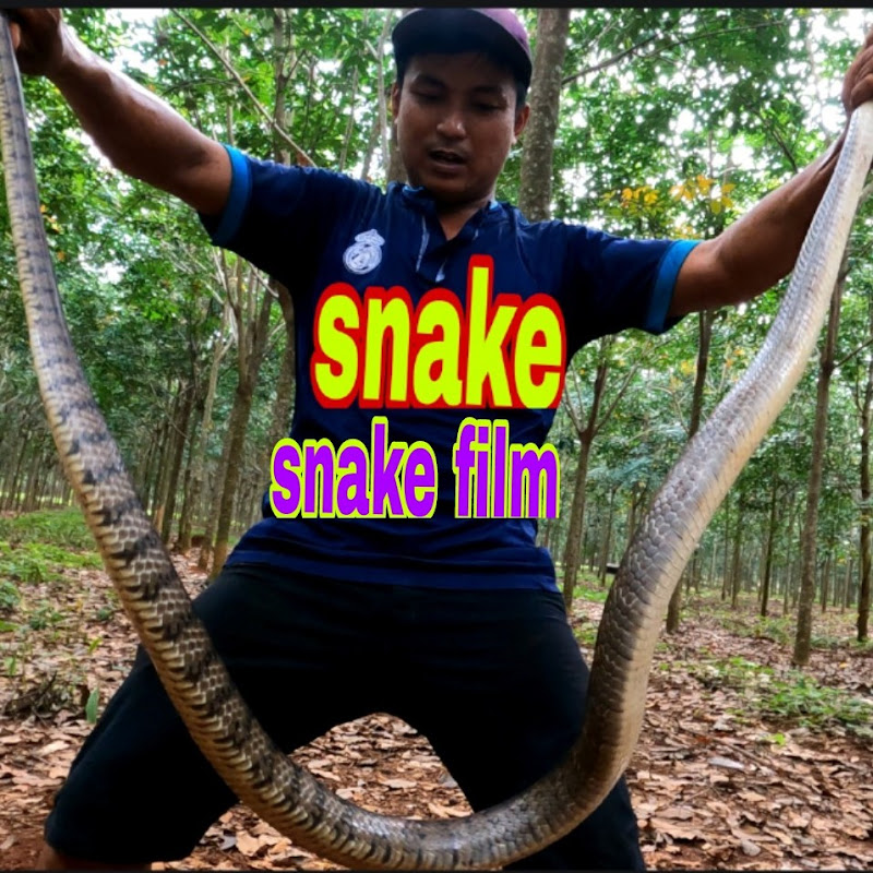 DUOC DONG NAI - 網紅的藏寶箱 