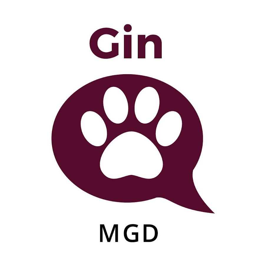 Gin the Mini Golden Doodle Avatar canale YouTube 
