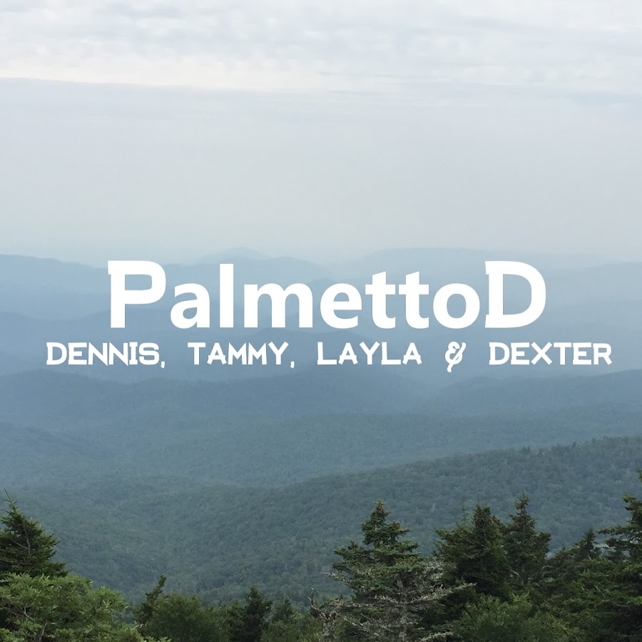 palmettod