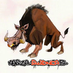 naszaswidnicapl