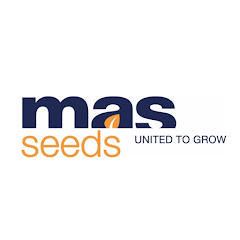 MAS Seeds Polska