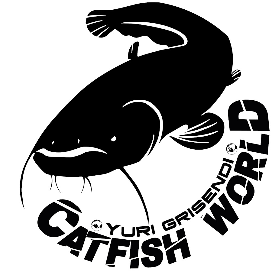 Catfish World by Yuri Grisendi YouTube channel avatar