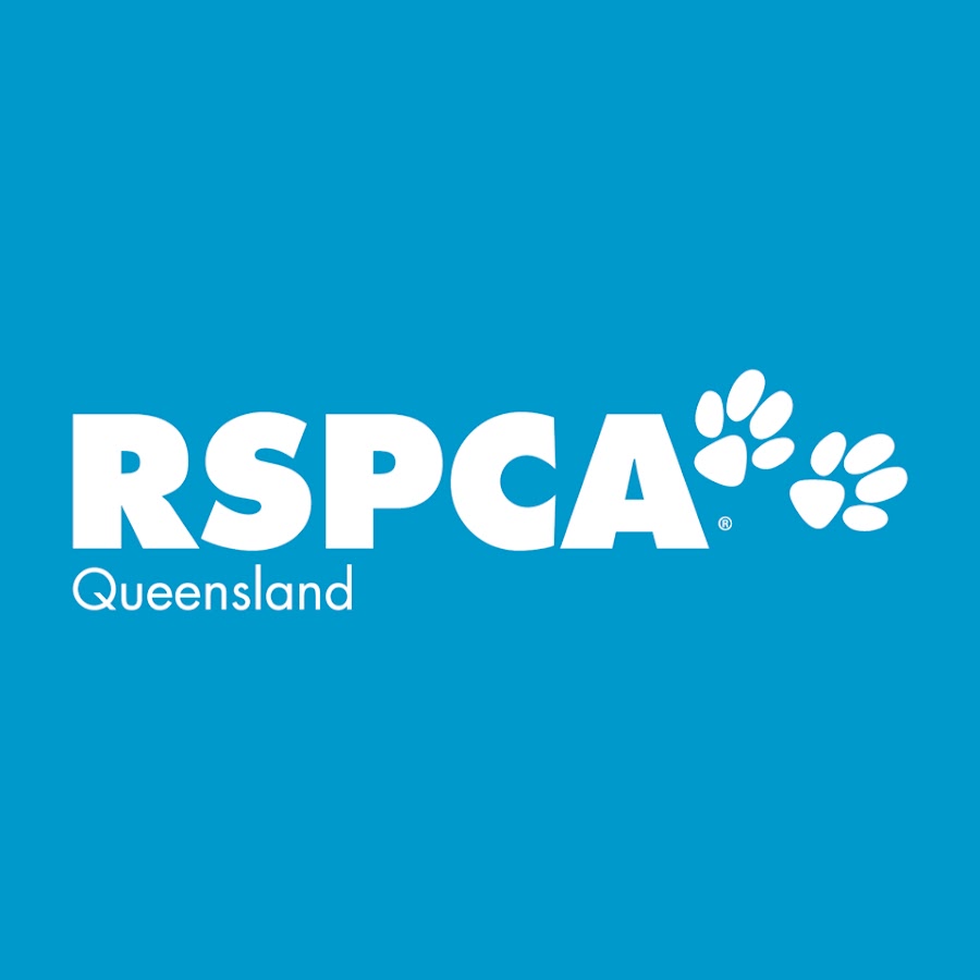 RSPCA Queensland ইউটিউব চ্যানেল অ্যাভাটার