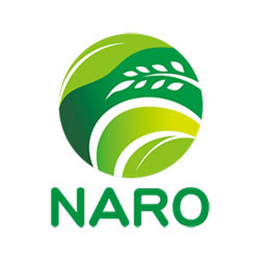 NAROchannel رمز قناة اليوتيوب